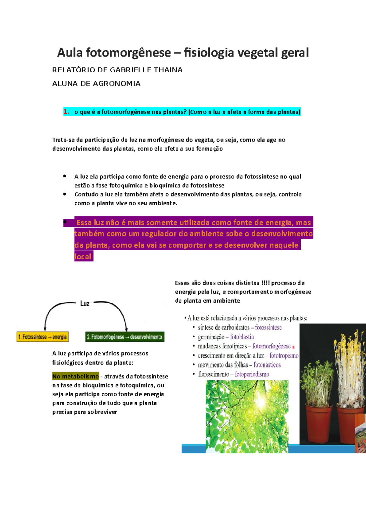 Aula Fotomorgênese De Fisiologia Vegetal Para Entender Fisiologia Da ...