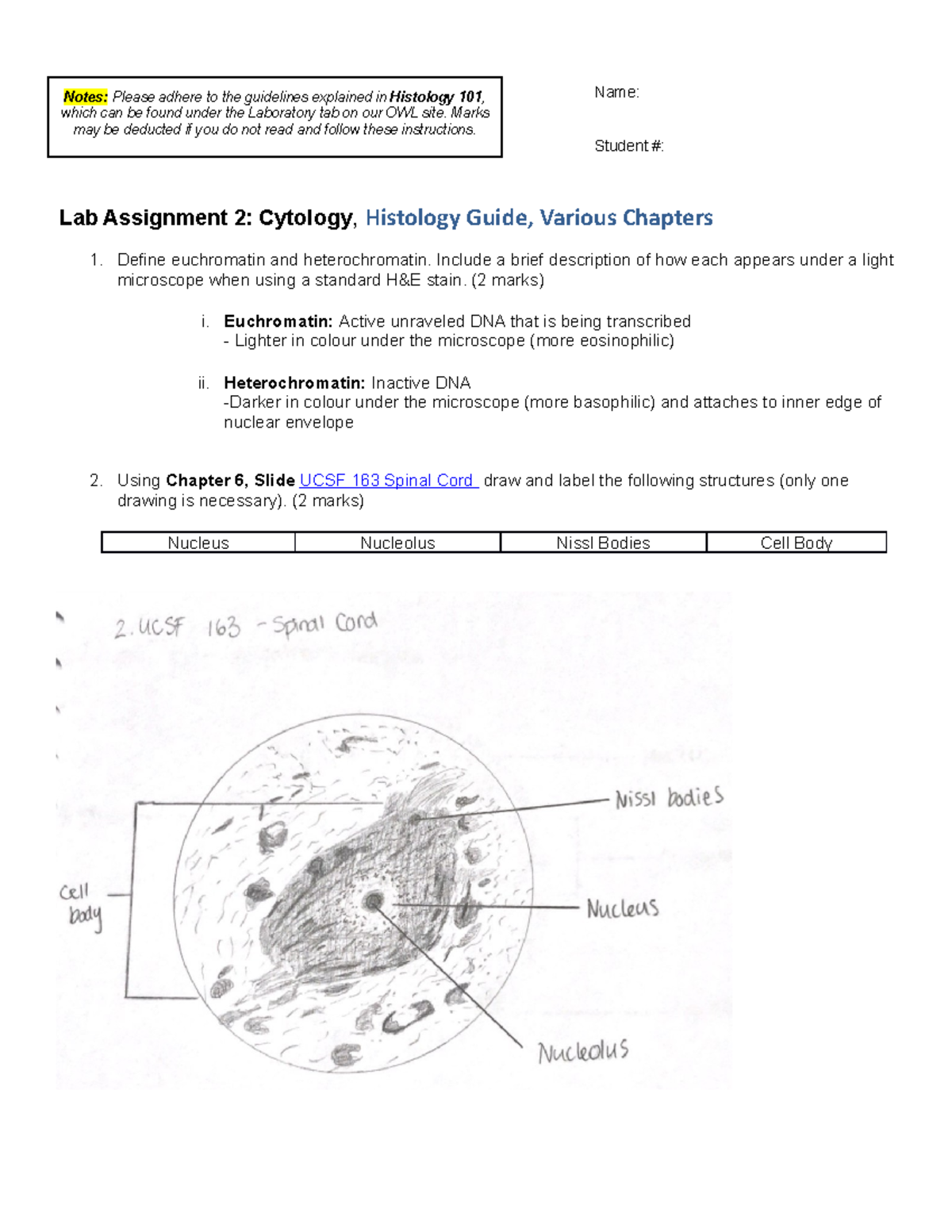 histology lab assignment