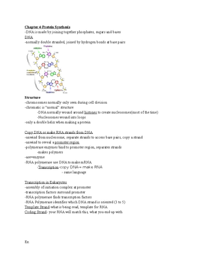 Chapter 18 Study Guide Anatomy - 1 Chapter 18: Components of Blood 1 ...