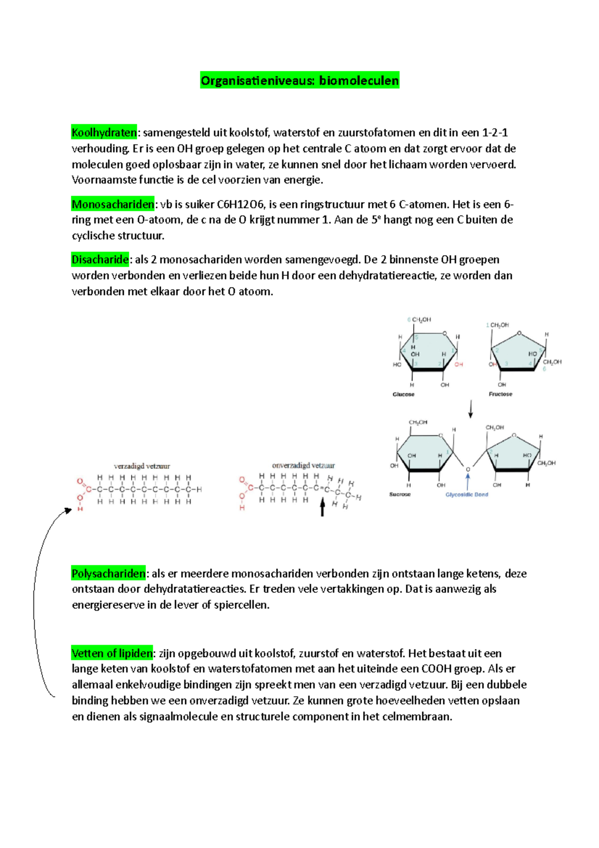 Biomoleculen - Volledige Samenvatting - Organisatieniveaus ...