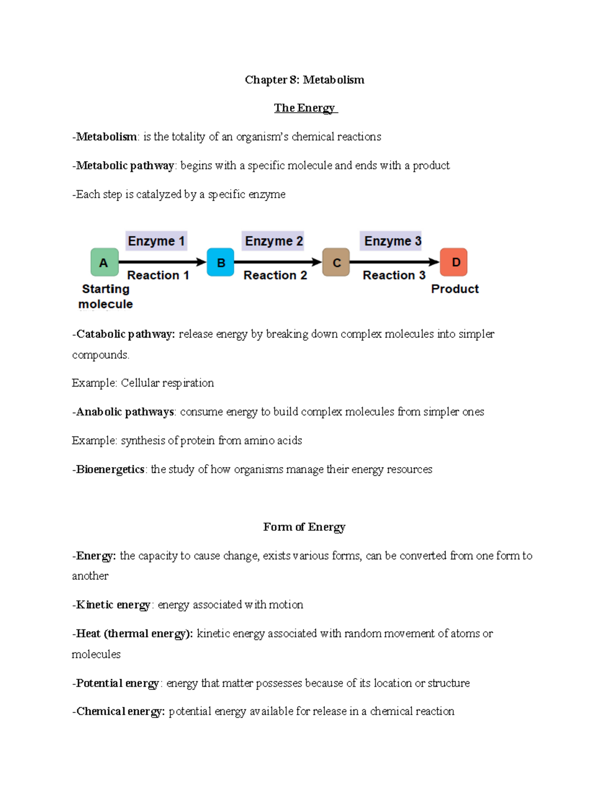 Chapter 8 Notes - unit 1 - Chapter 8: Metabolism The Energy Metabolism ...