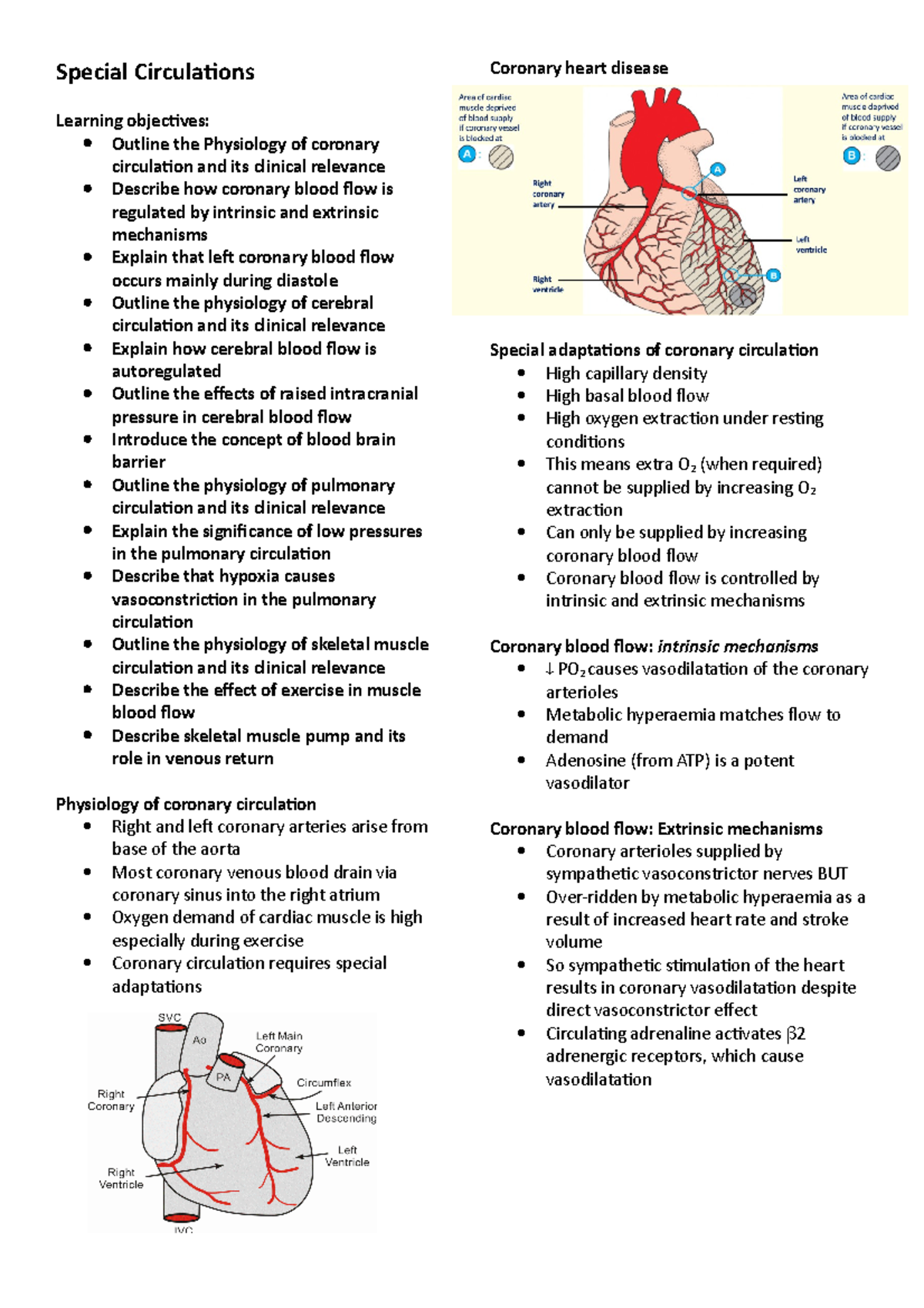 Special Circulations - Special Circulations Learning Objectives ...