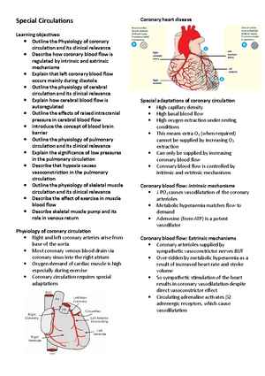 Human Physiology Principles - Human Physiology Principles: Muscles and ...