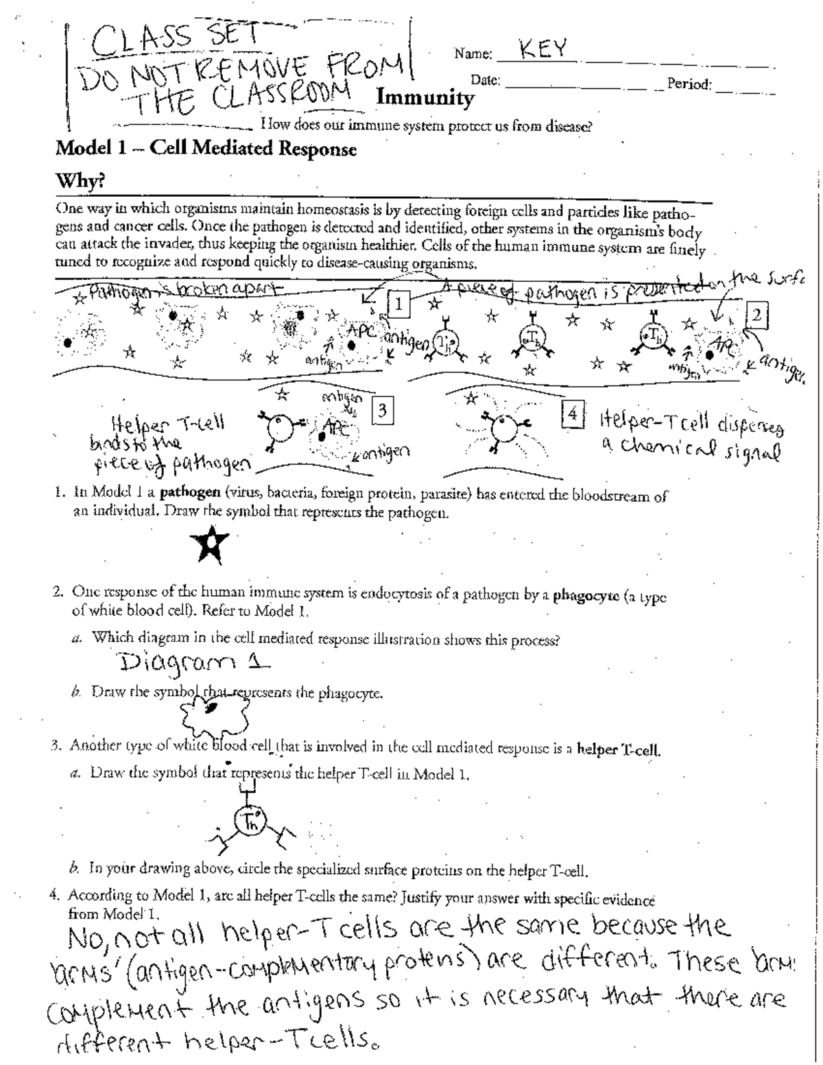 Pogil Biology