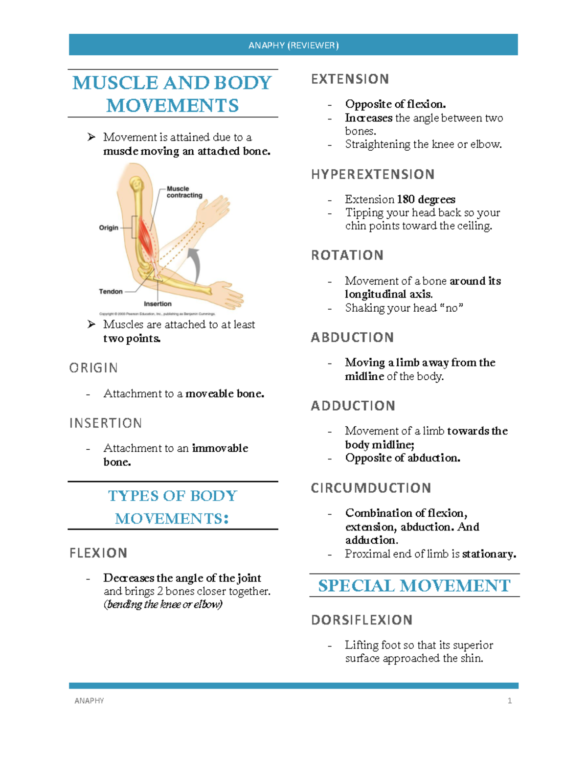 Anaphy - ANAPHY 1 ANAPHY (REVIEWER) MUSCLE AND BODY MOVEMENTS Movement ...