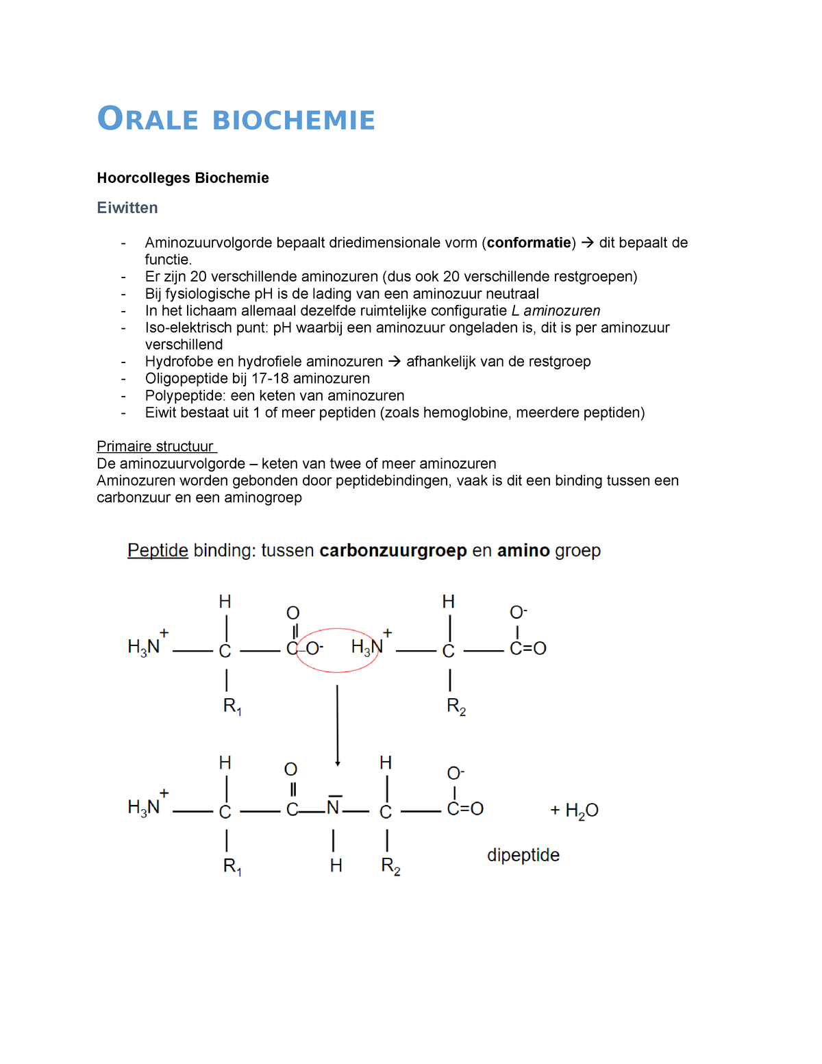 Samenvatting Biochemie Orale Biochemie Hoorcolleges Biochemie Eiwitten Aminozuurvolgorde 2024