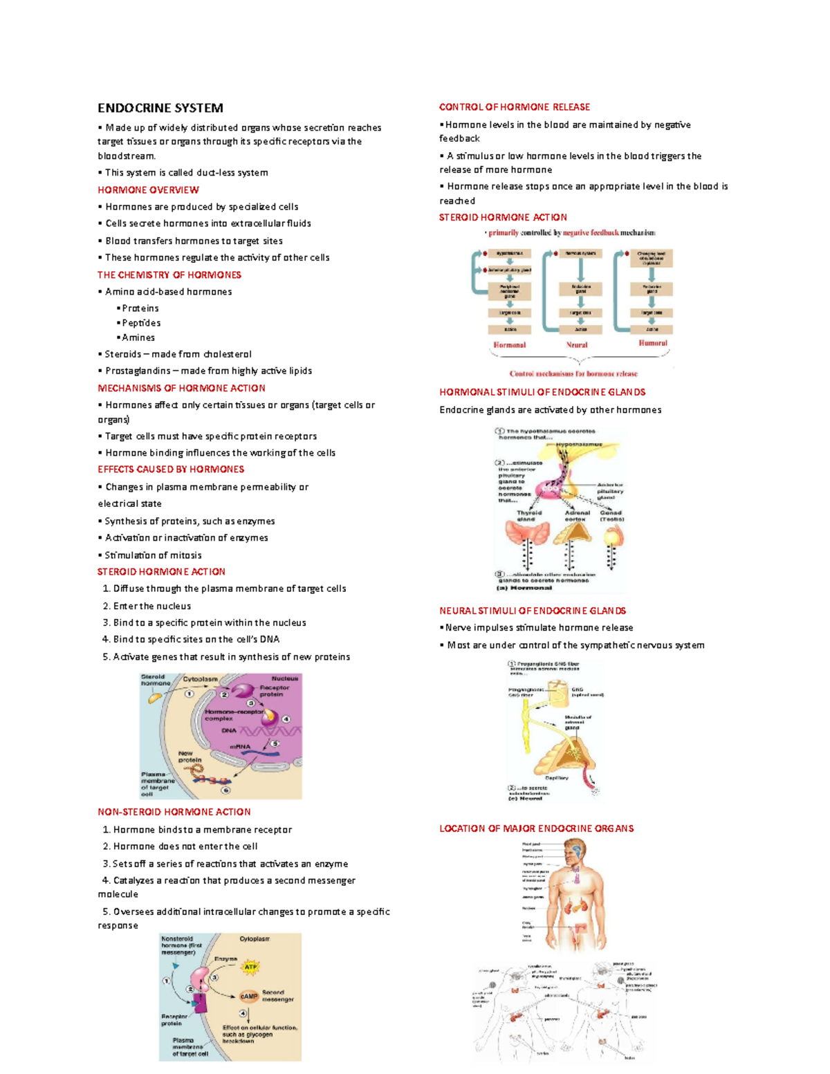 Endocrine System - notes - ENDOCRINE SYSTEM Made up of widely ...