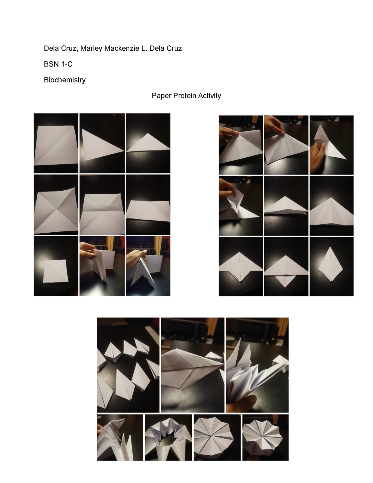 Marley Mackenzie L. Dela Cruz BSN 1-C Activity Paper Origami - Dela ...