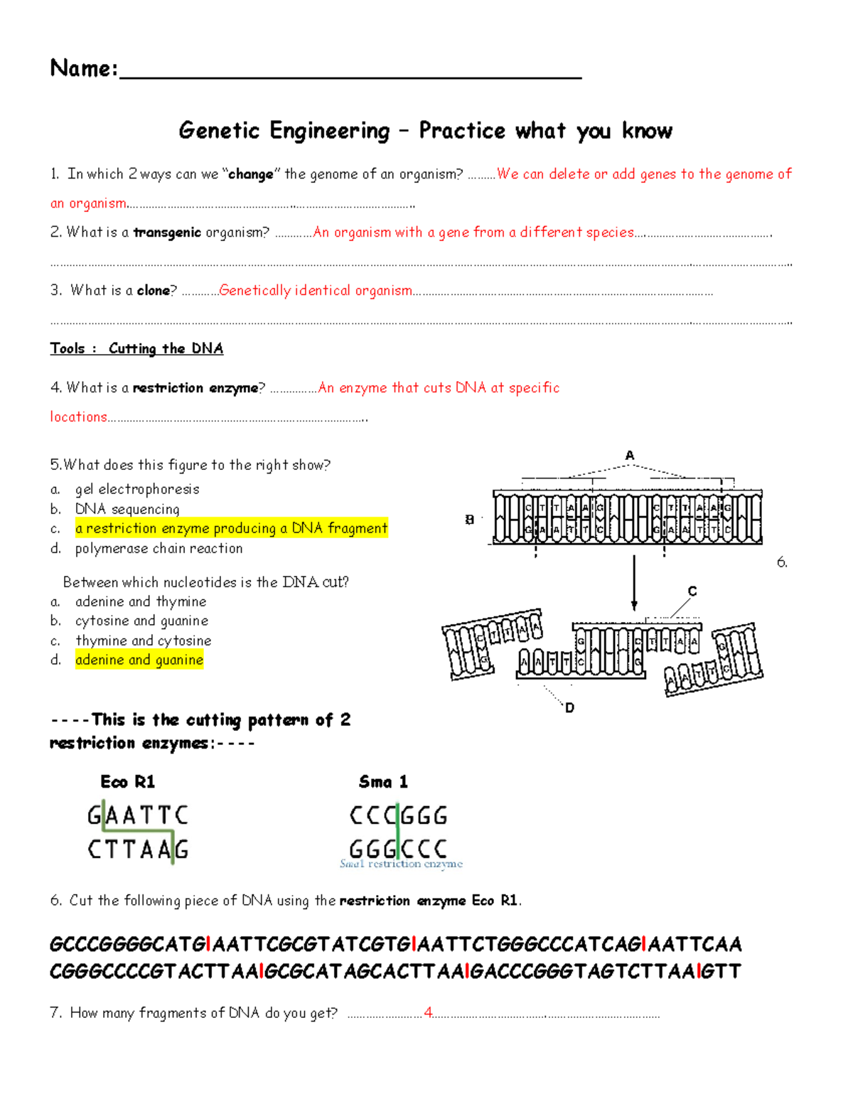 genetic engineering assignments