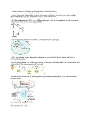 The h Eh E script 👽👌 Biochemistry Colloquium 4 - The hEhE script ...
