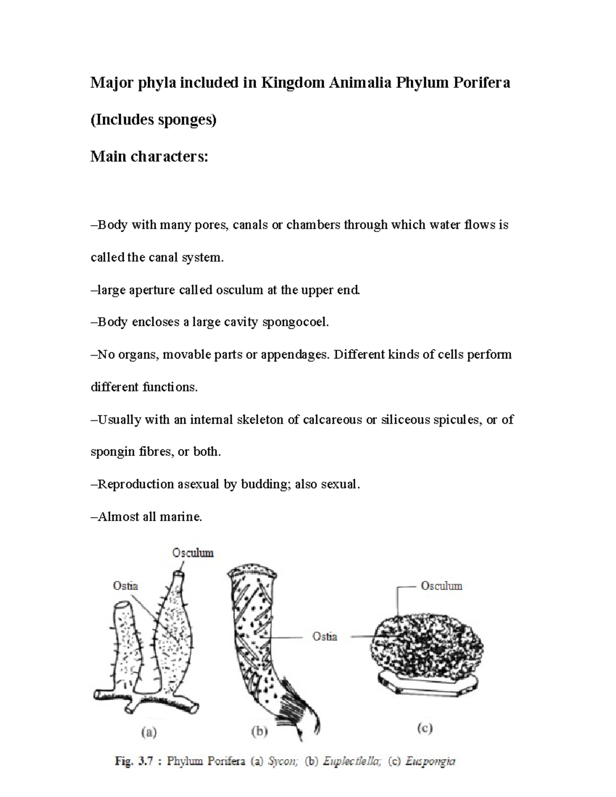 Major phyla included in Kingdom Animalia Phylum Po - Major phyla ...