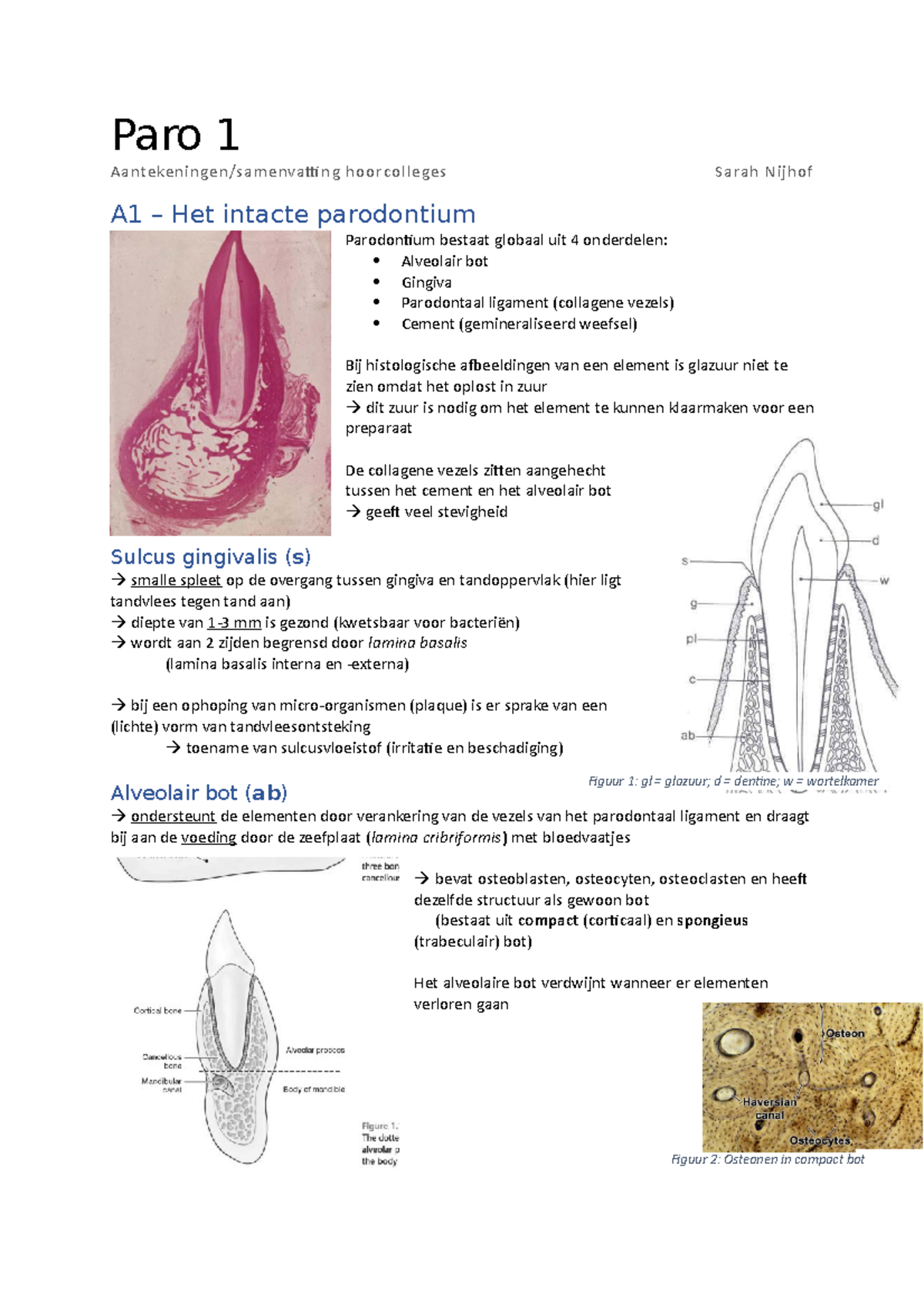 Parodontium Paro 1 Samenvatting Paro 1 Aantekeningen Samenvatting