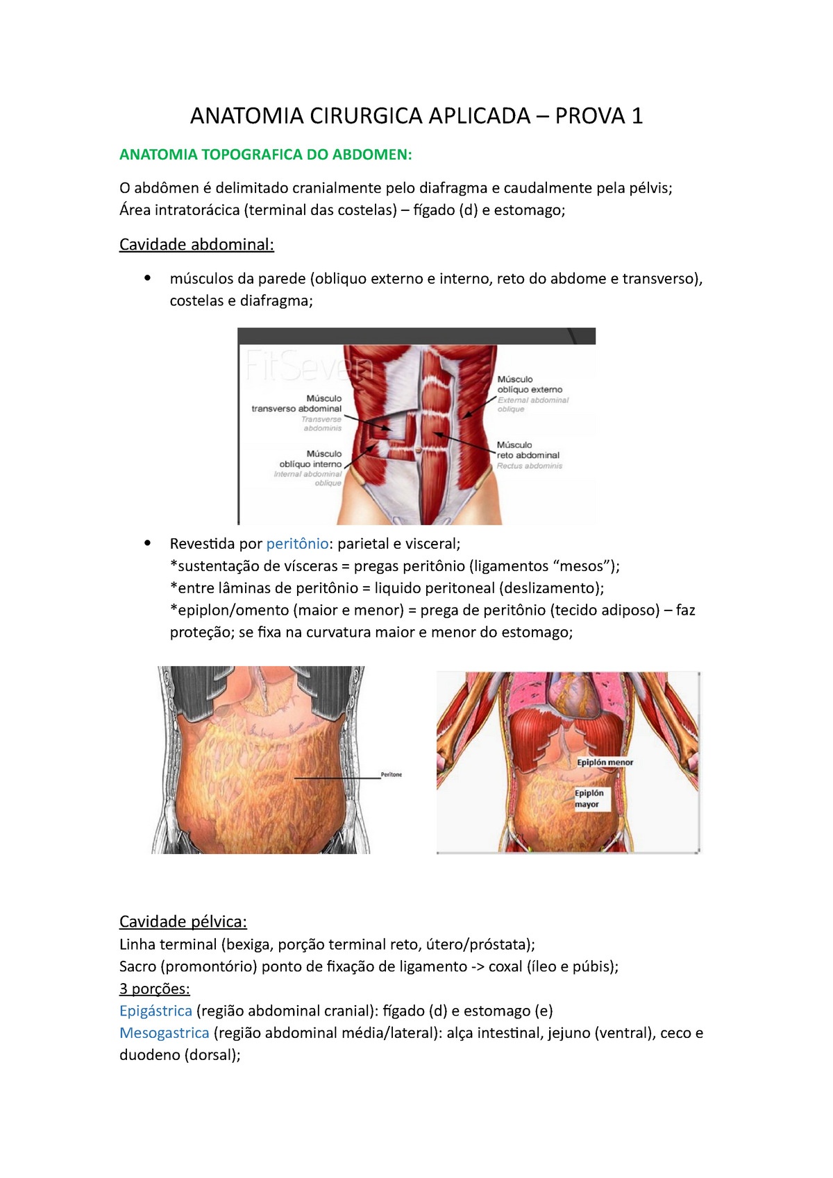 Anatomia Cirúrgica do Abdómen