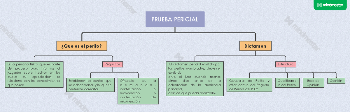 Prueba Pericial Mapcon - PRUEBA PERICIAL ¿Que Es El Perito? Requisitos ...