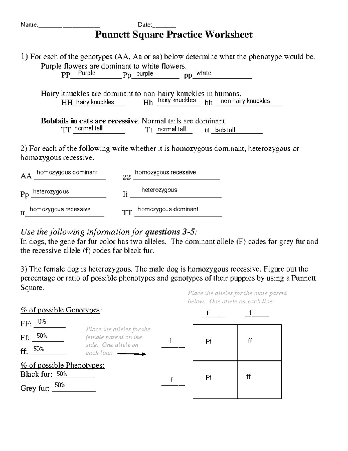 Punnett Square Worksheet Punnett Square Practice Worksheet 1 For