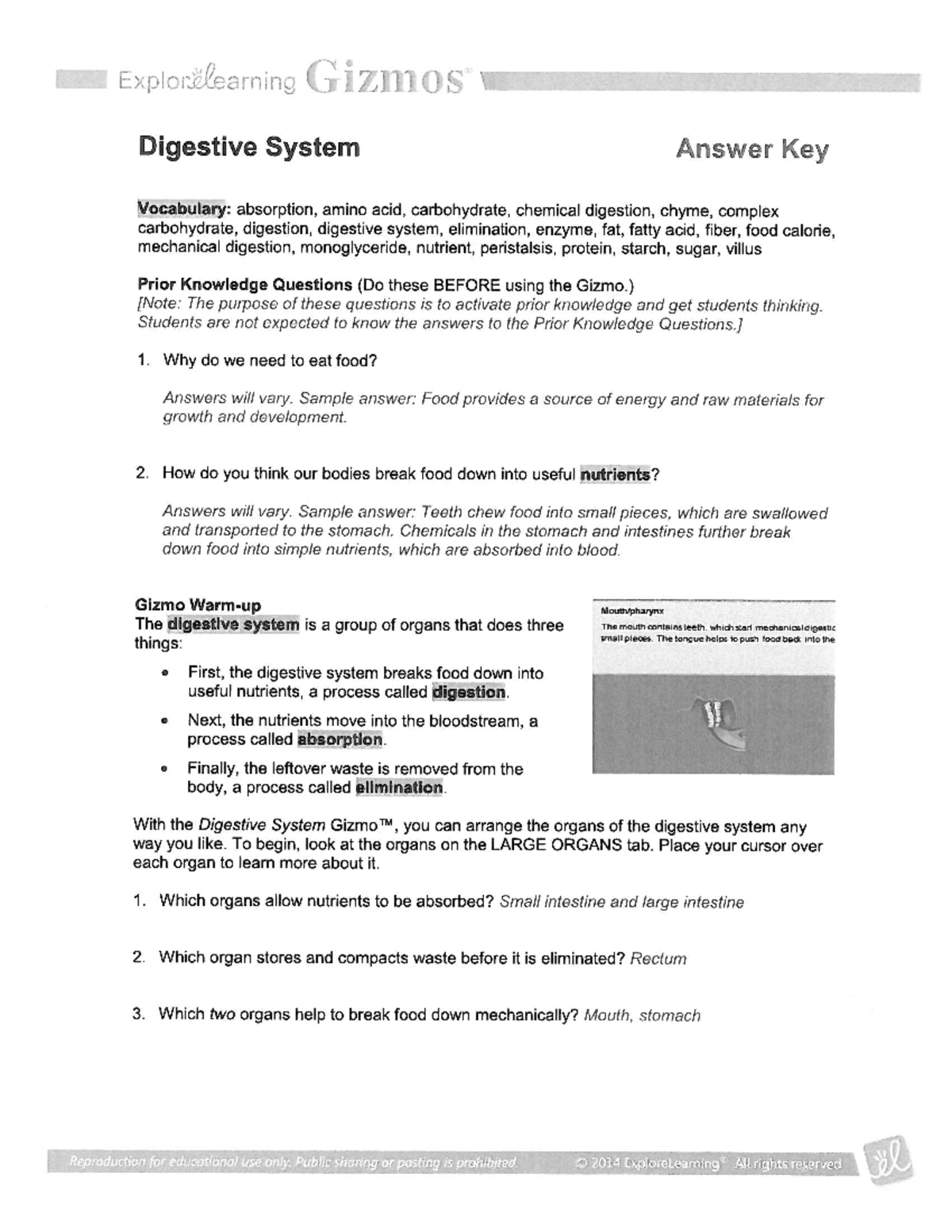 Digestive system gizmo answers - HRHS Falcons - Studocu