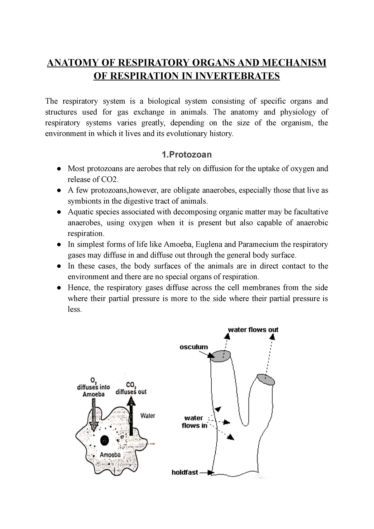 Respiration in Invertebrates - ANATOMY OF RESPIRATORY ORGANS AND