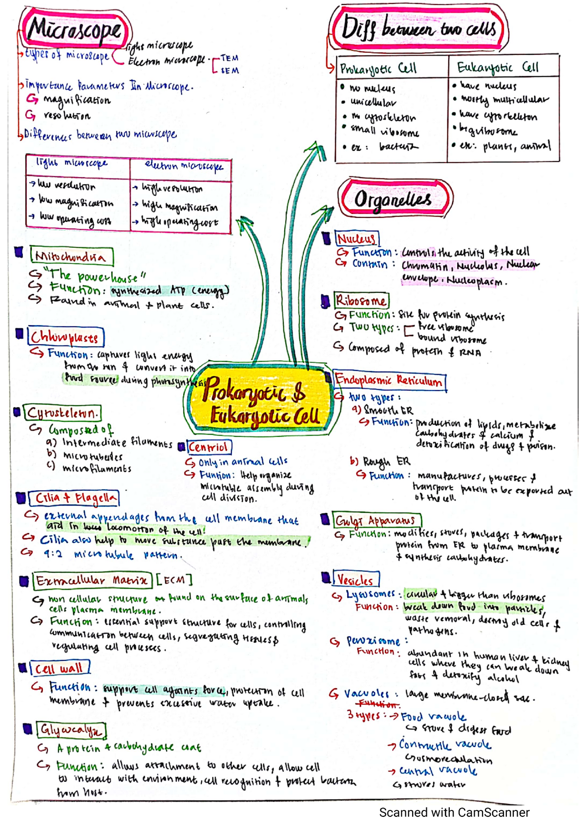 Mind map chap 5 - Lecture notes 5 - Case Study - Studocu