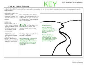 simnet in practice excel 365 application capstone project 2