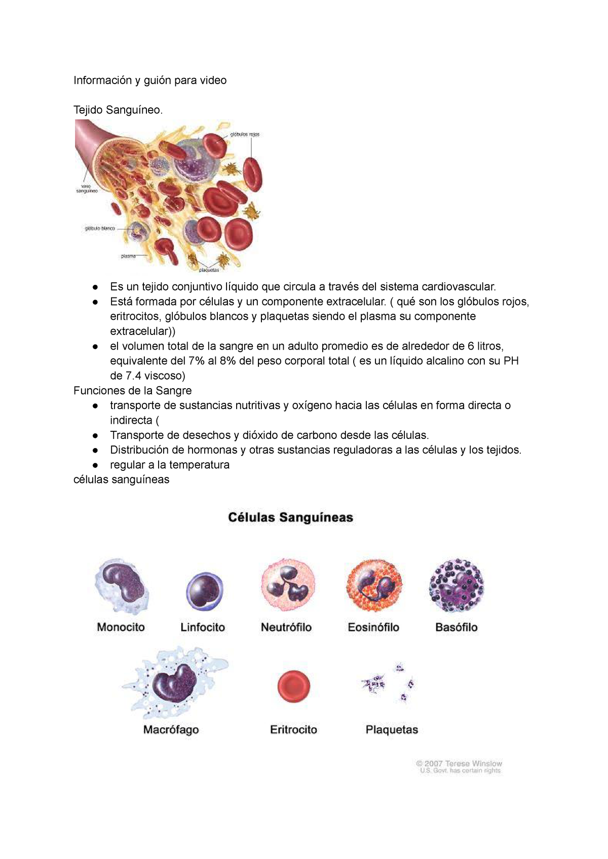 Video Histologia - Información Y Guión Para Video Tejido Sanguíneo. Es ...