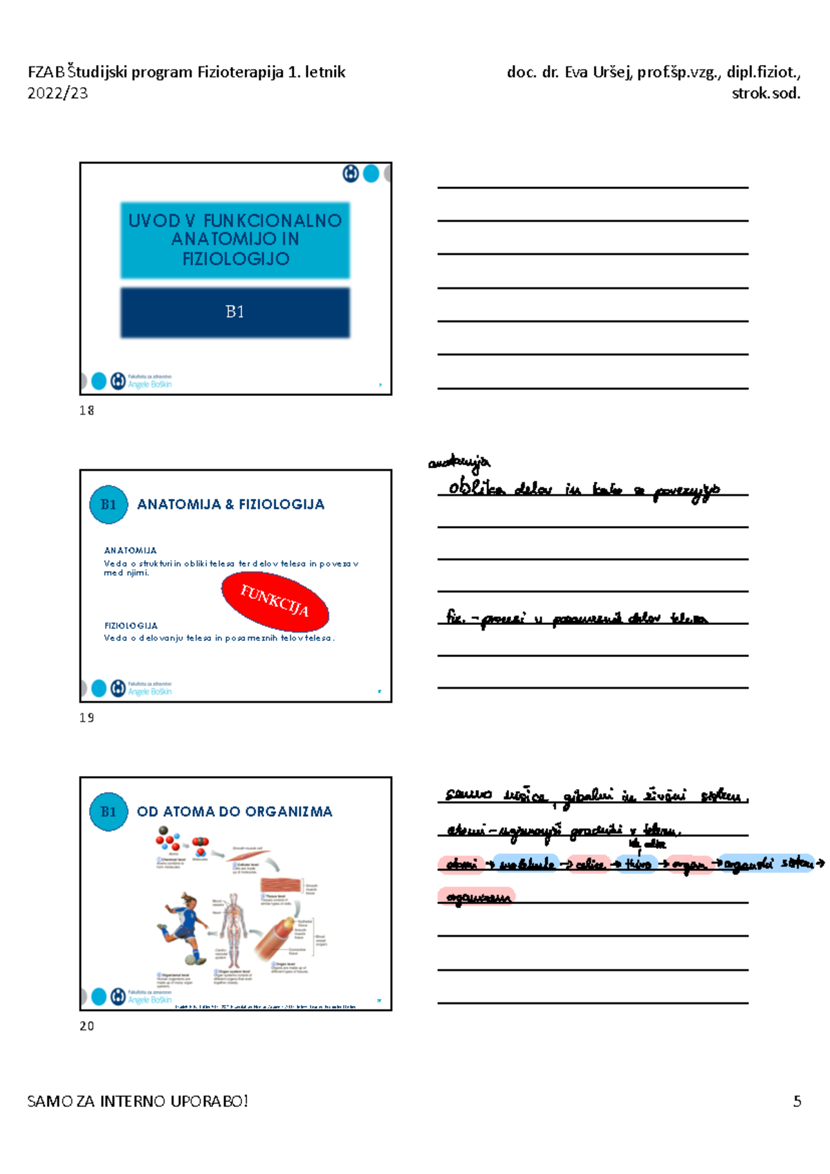 Funkcionalna anatomija in fiziologija 1 - FZAB Študijski program ...