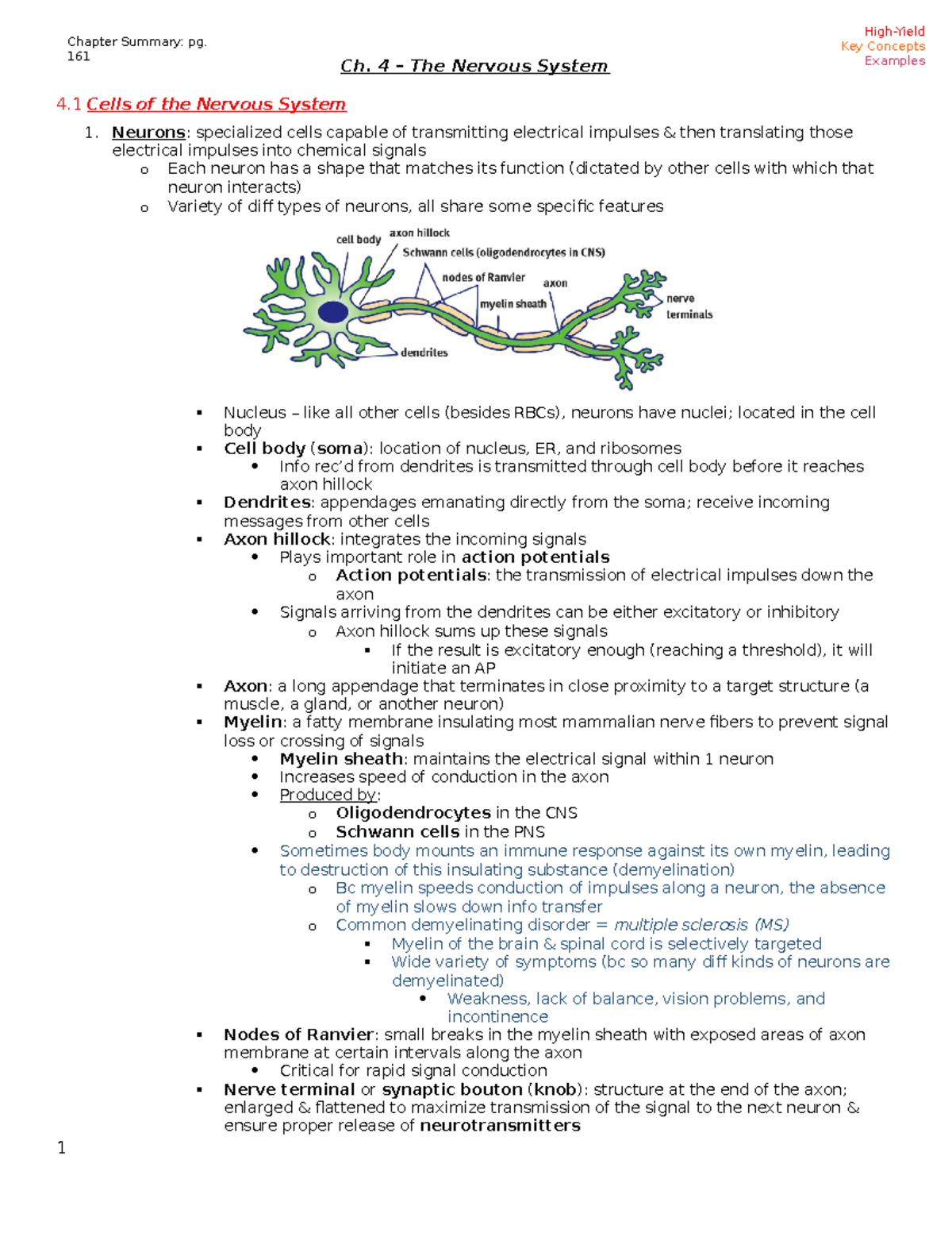 Nervous System Notes - Ch. 4 – The Nervous System 4 Cells Of The ...