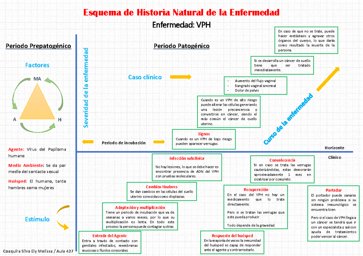 Esquema De La Historia Natural De La Enfermedad www.studocu.com