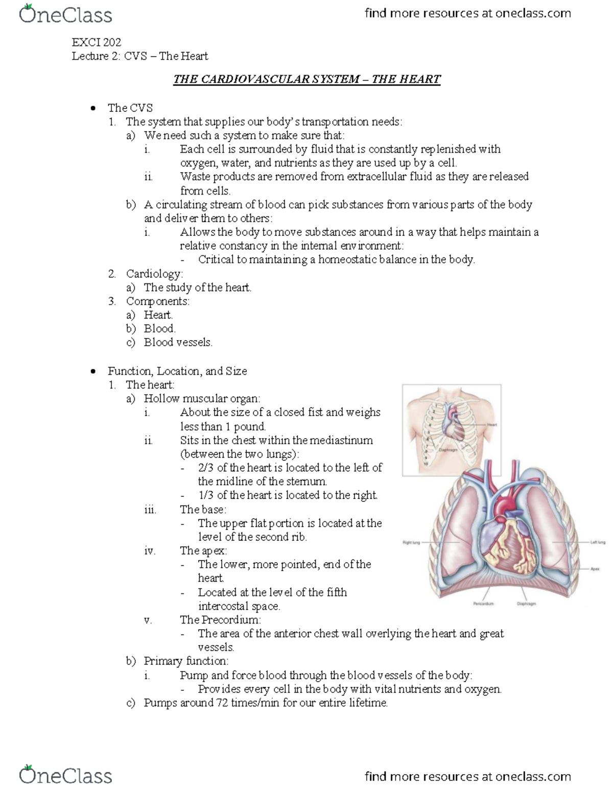 EXCI 202 - Lecture 2 - EXCI 202 Lecture 2: CVS – The Heart THE ...