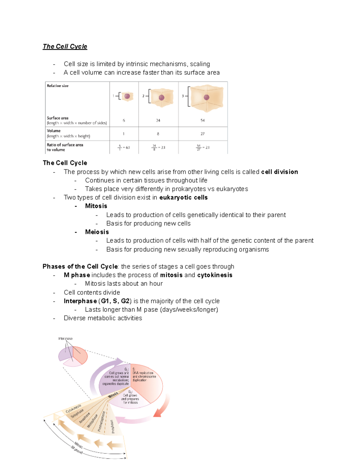 Cell cycle notes - The Cell Cycle - Cell size is limited by intrinsic ...