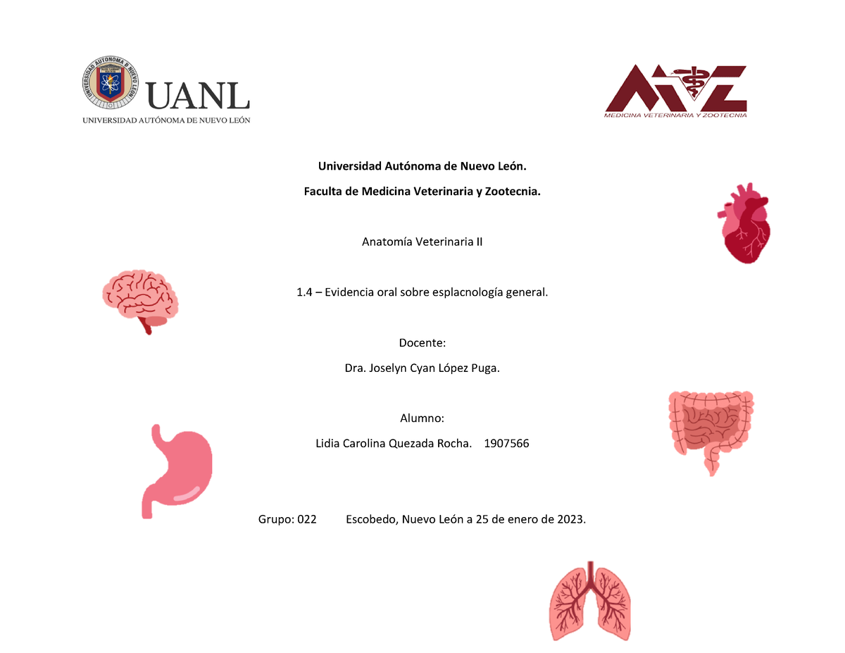 Act 1.1 Esquema De Esplacnología - Universidad AutÛnoma De Nuevo LeÛn ...