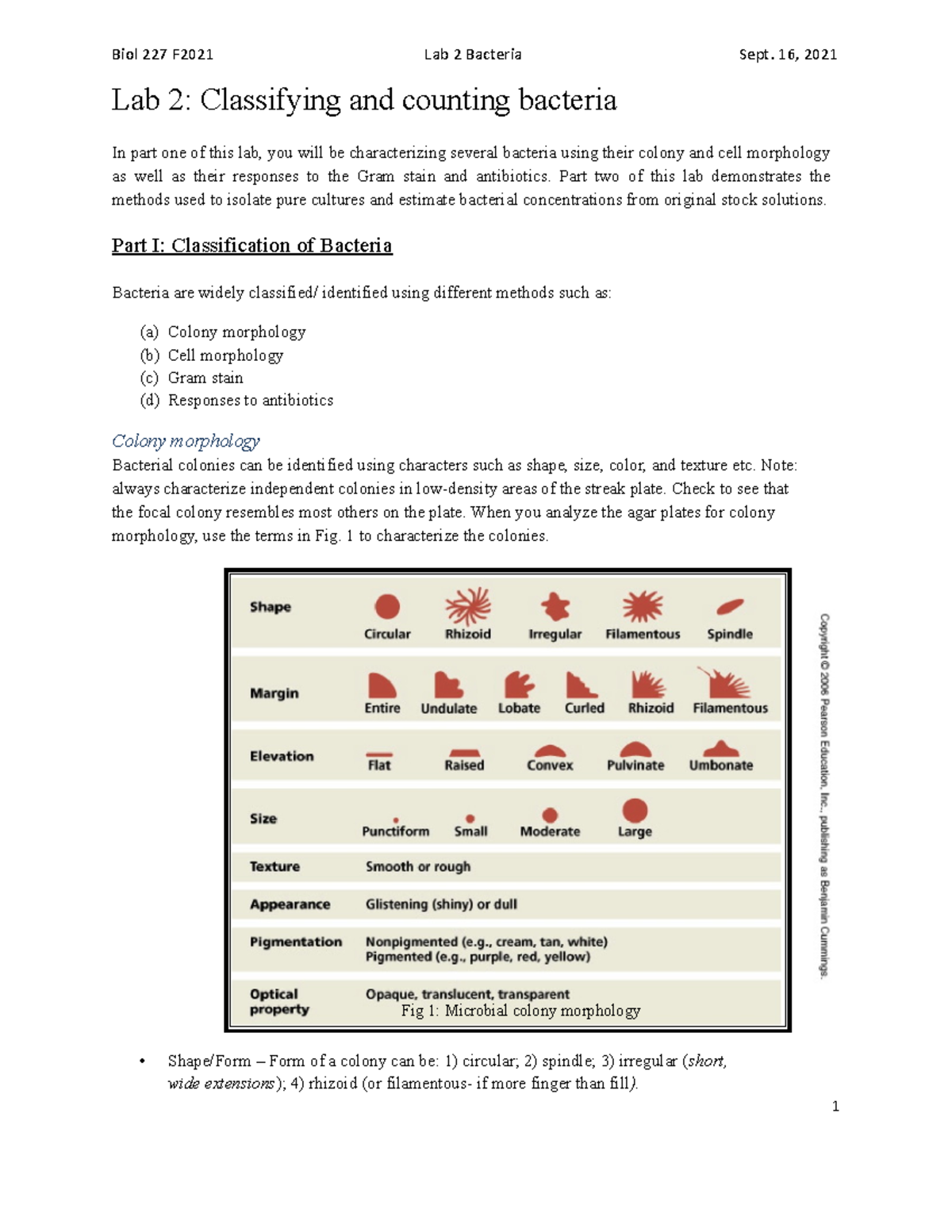 BIOL 227 Lab Report #2 - Lab 2: Classifying and counting bacteria In ...