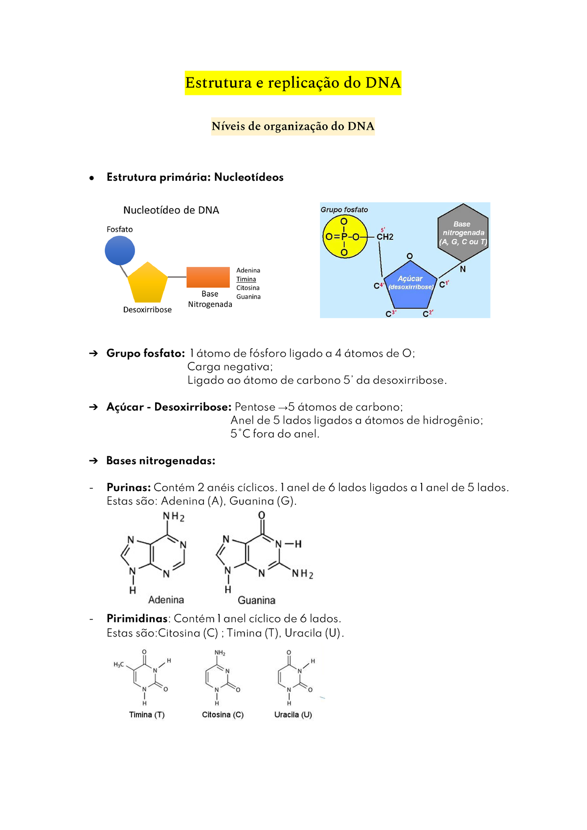 1- Estrutura E Replicação Do DNA - Estrutura E Replicação Do DNA Níveis ...