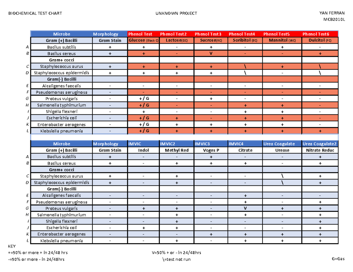 Biochemical Tests Chart BIOCHEMICAL TEST CHART UNKNOWN PROJECT YAN 