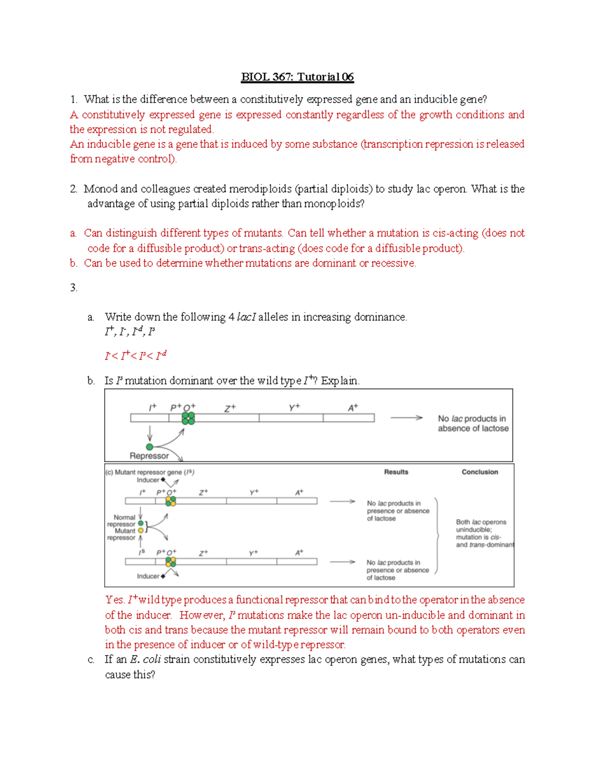 Tutorial 6 with answers - BIOL 367: Tutorial 06 What is the difference ...