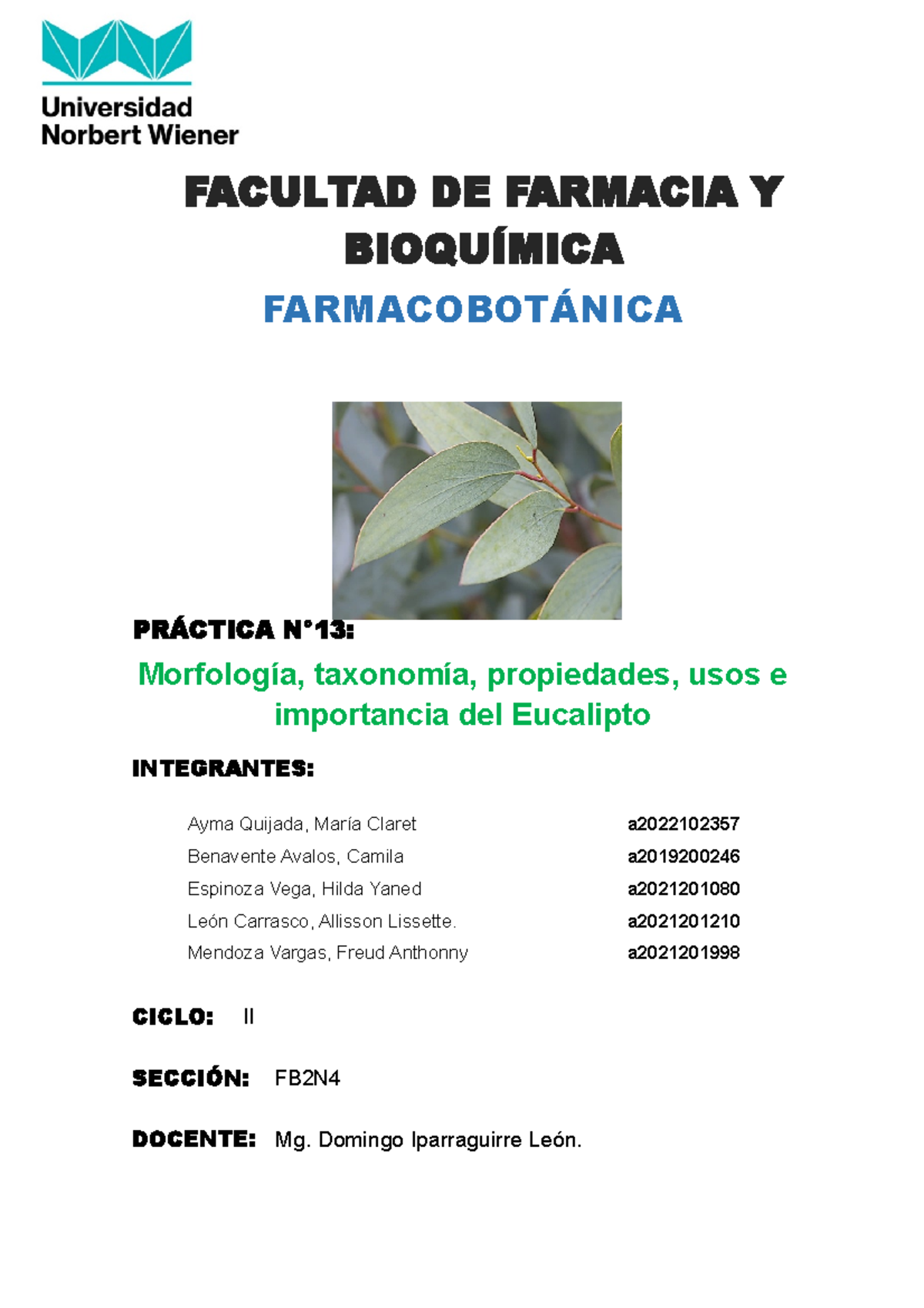 Morfología DEL Eucalipto PRÁCTICA N°1 3 Morfología, taxonomía