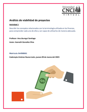 Actividad 1 Análisis De Viabilidad De Proyectos FIN B - Materia ...