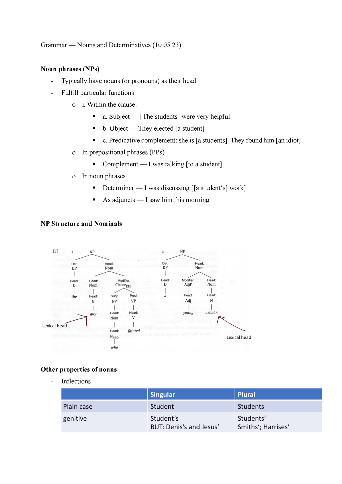 grammar-of-english-nouns-grammar-nouns-and-determinatives-10-05