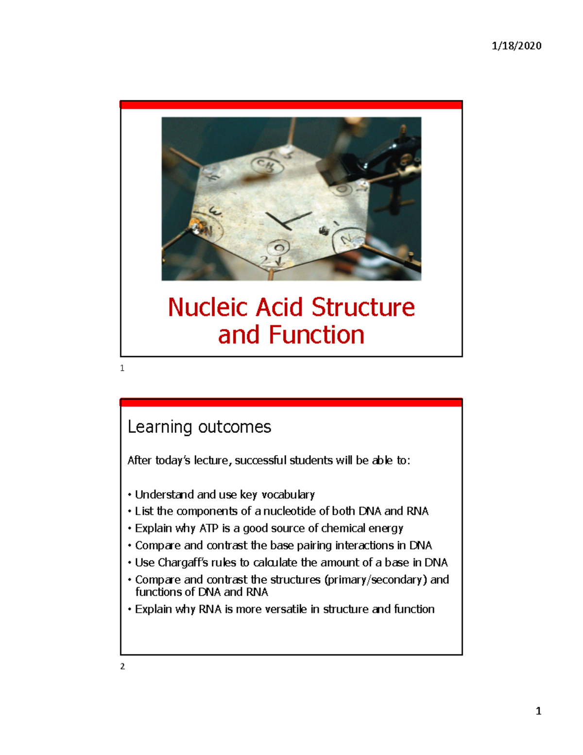 Lecture 05 Jan21 Nucleic Acid Structure and Function Nucleic Acid