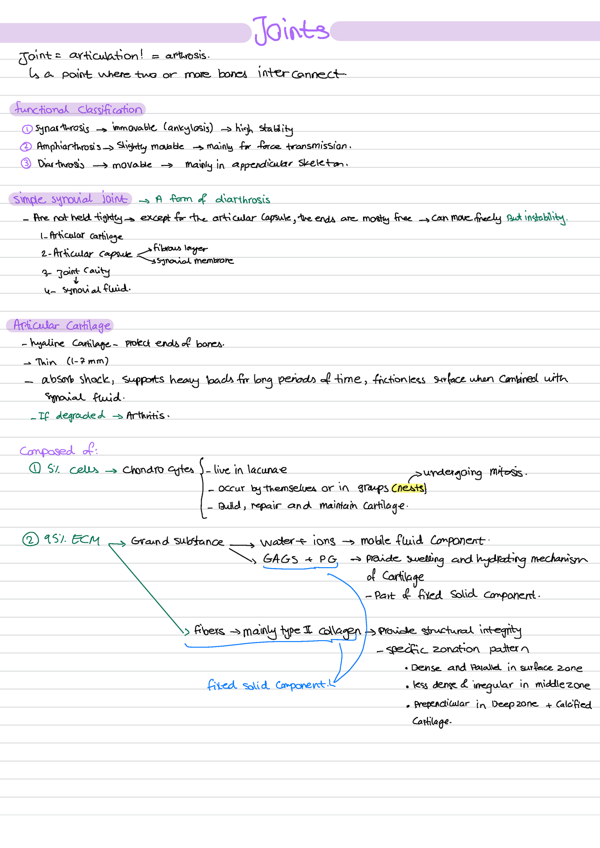 Medsci 142 joints and muscles - Joints Joint = articulation ...