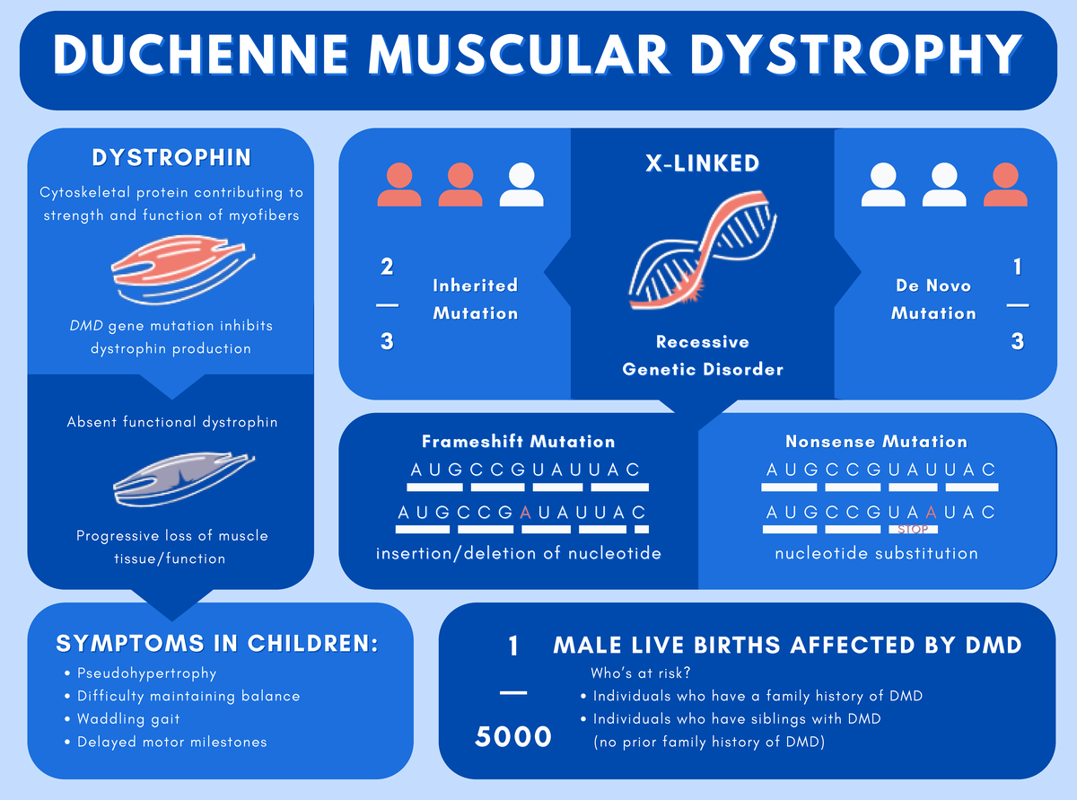 Jessica Trieu - Duchenne Muscular Dystrophy Infographic - Frameshift ...