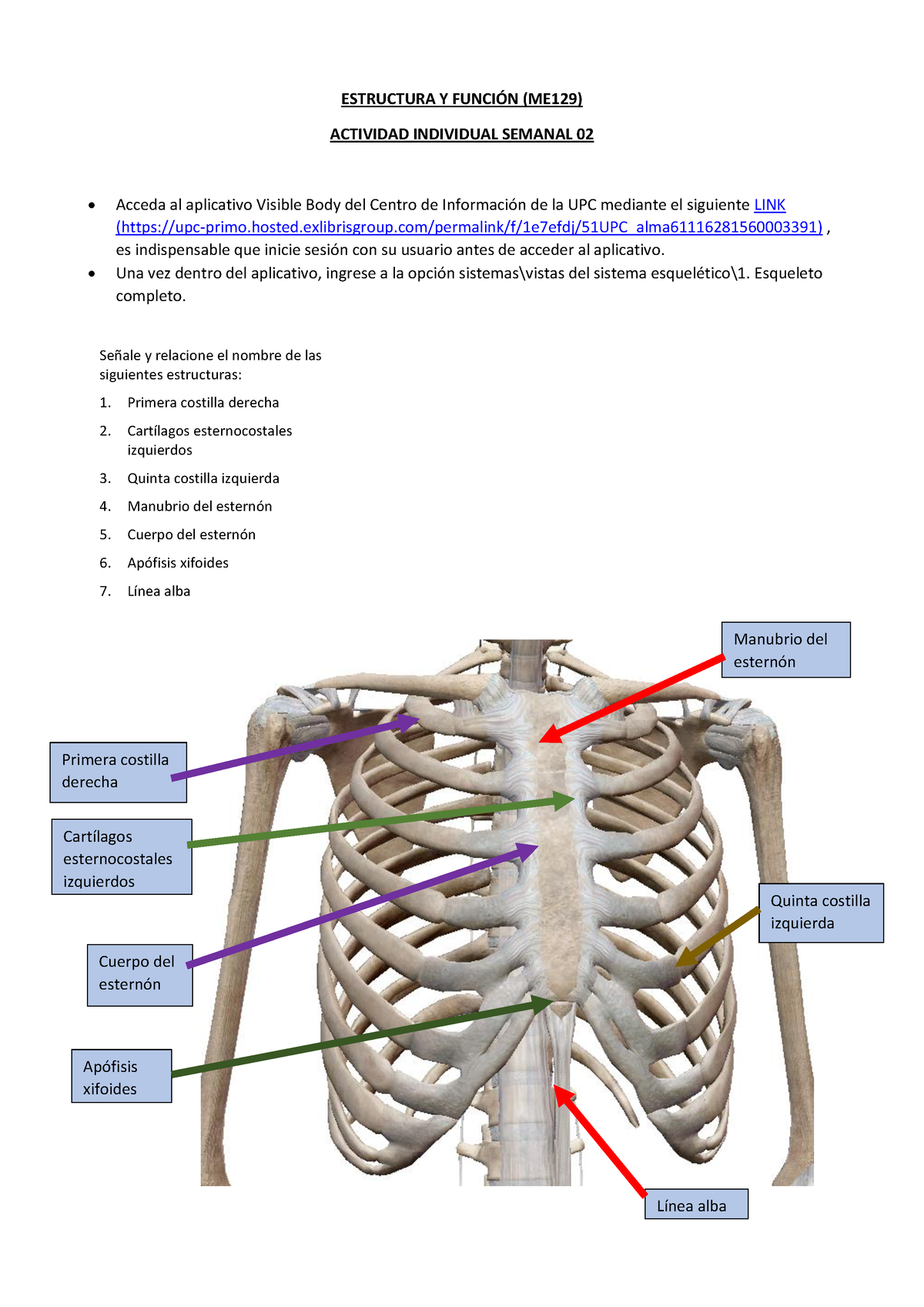 ME129 Ey F Tarea Sem02 - ESTRUCTURA Y FUNCI”N (ME129) ACTIVIDAD ...