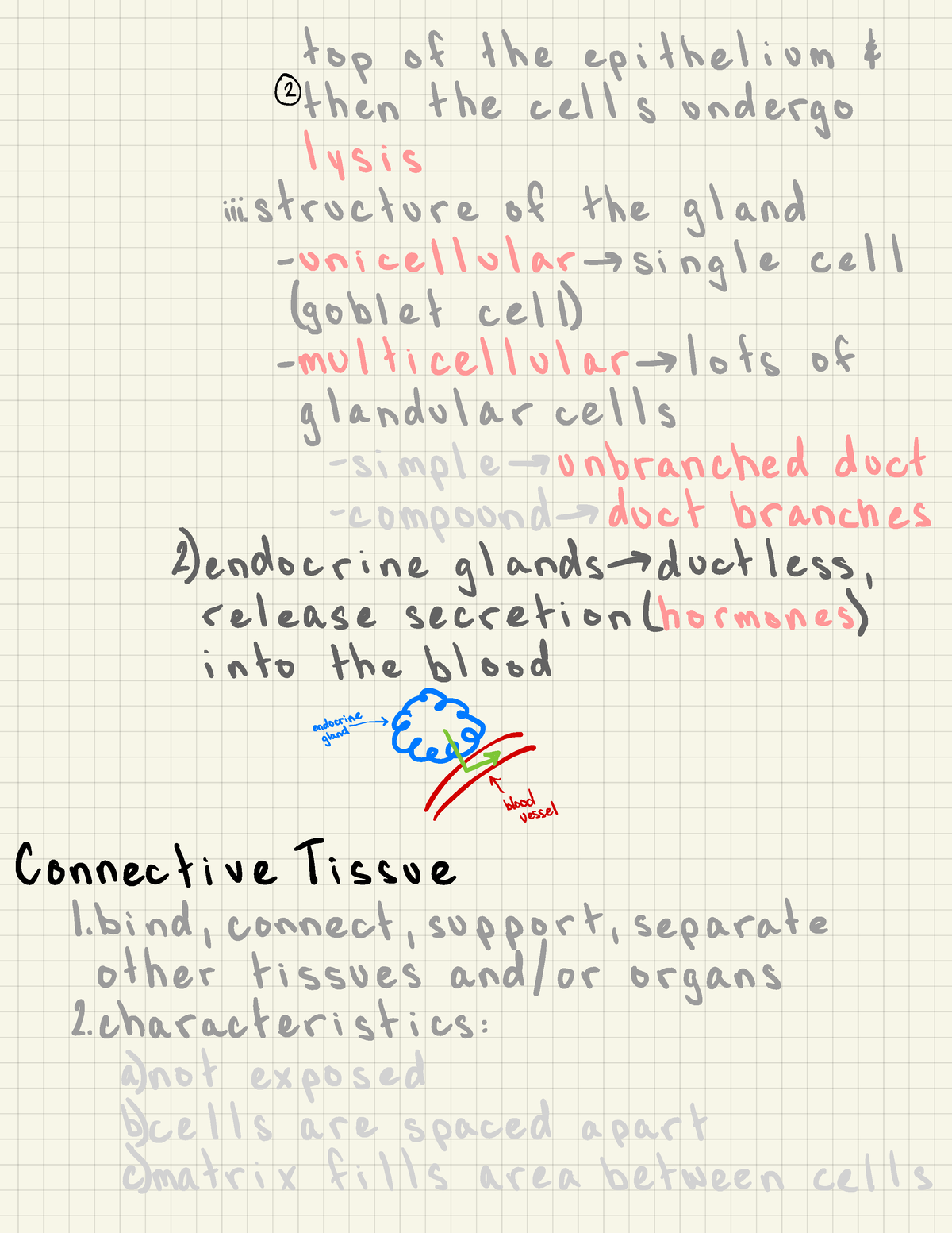 Anatomy And Physiology 1 - Bio231 - Studocu