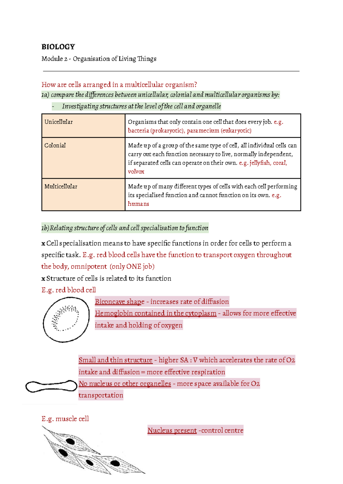 Biology module 2 notes 64d3930d82077 - BIOLOGY Module 2 - Organisation ...
