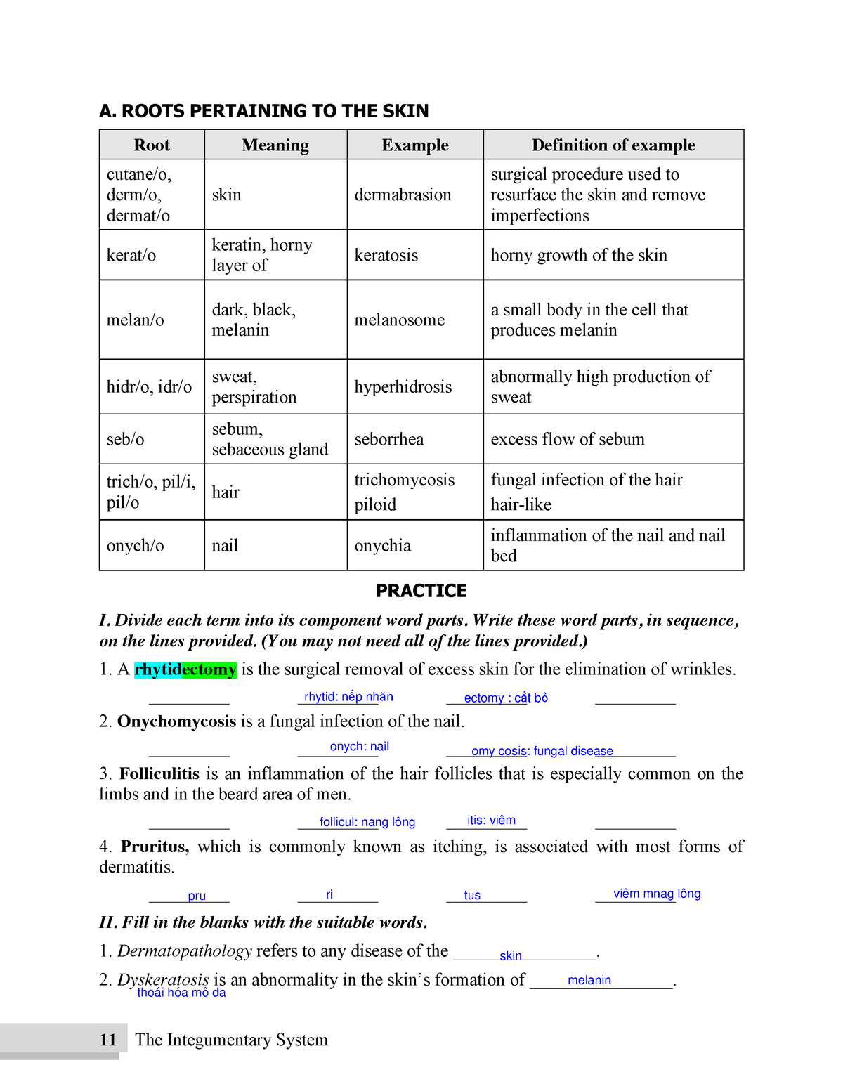 medical-terminology-2-11-the-integumentary-system-a-roots