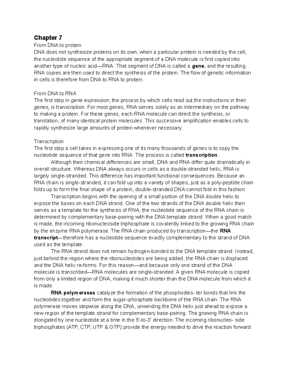 biochemistry-summary-chapter-7-from-dna-to-protein-dna-does-not