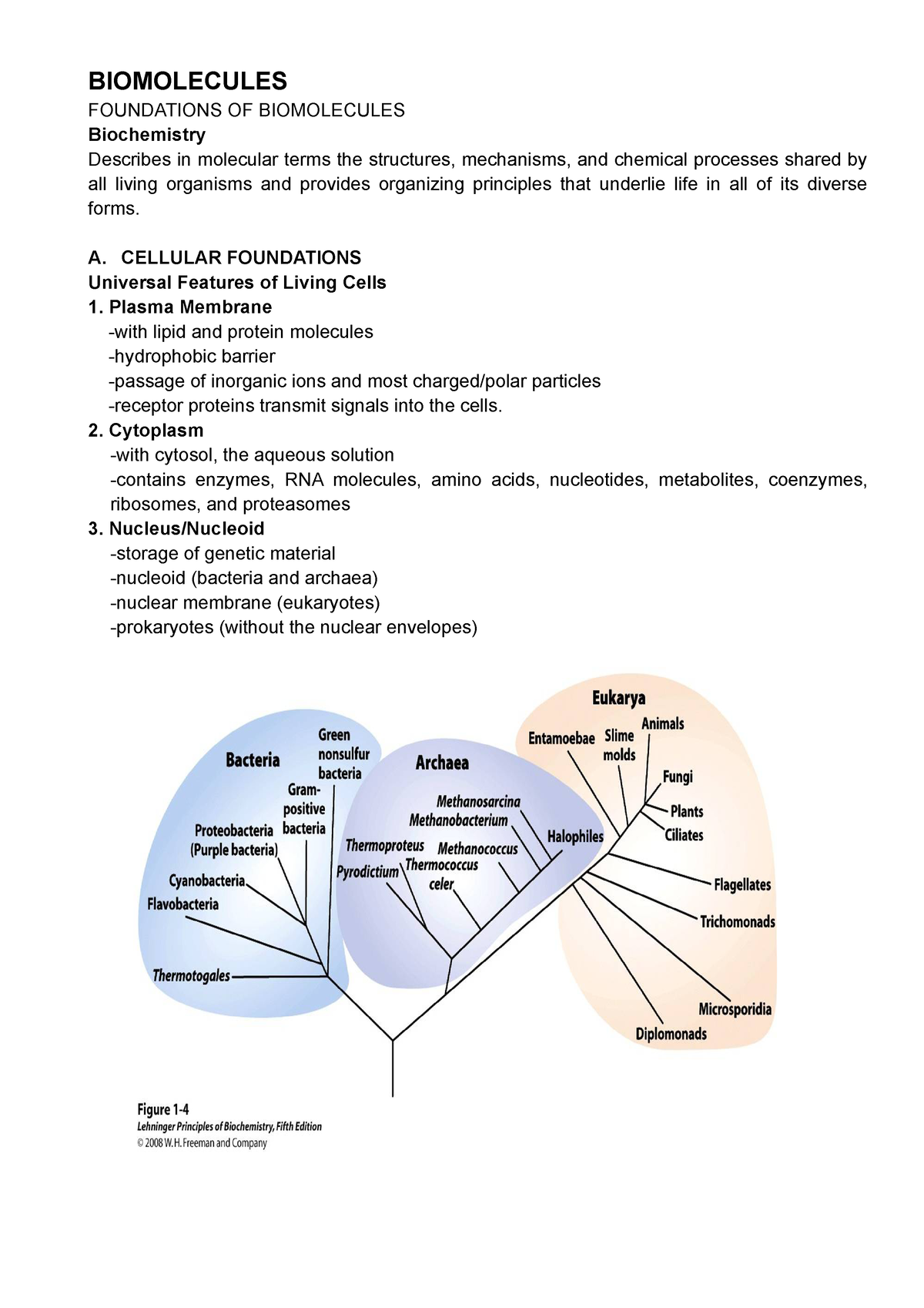 Foundations Of Biomolecules - BIOMOLECULES FOUNDATIONS OF BIOMOLECULES ...