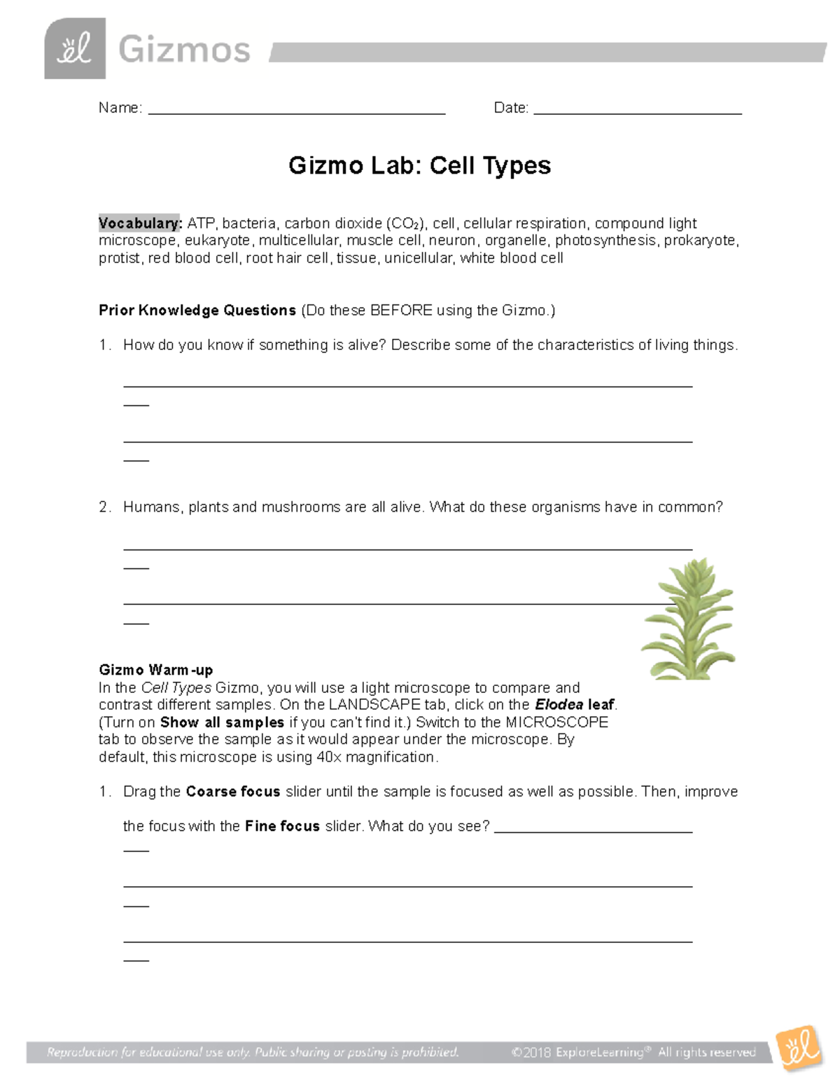 Gizmo Lab Cell Types and Microscopes-1 - Name: Date: Gizmo Lab: Cell ...