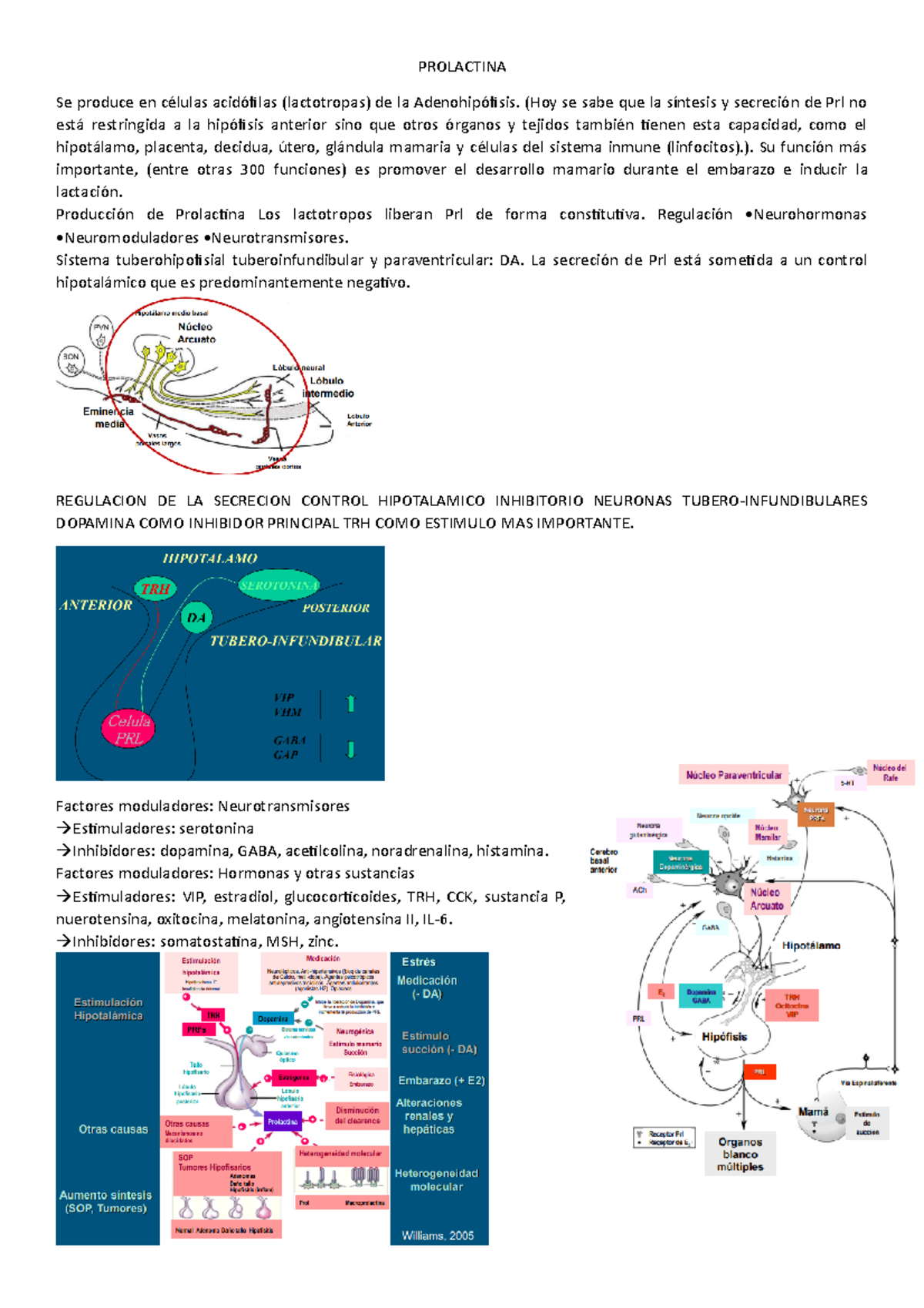 Prolactina - Biologia - UBA - Studocu