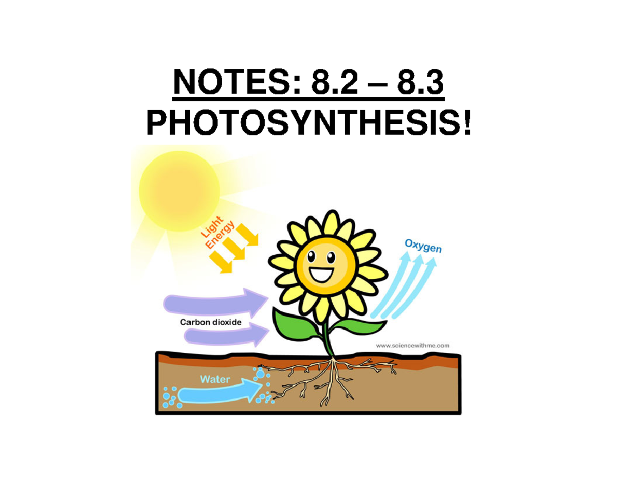 Notes 8 Photosynthesis NOTES 8 8. PHOTOSYNTHESIS! 8