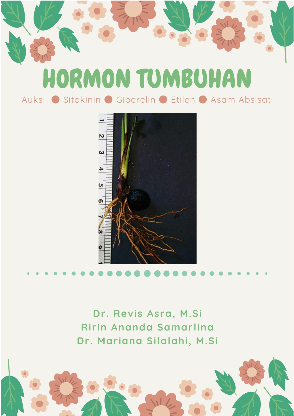 Hormon Tumbuhan - Materi Biologi Kelas XII - HORMON TUMBUHAN PENULIS ...